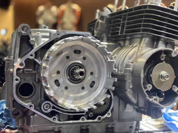 OMEGA810cc