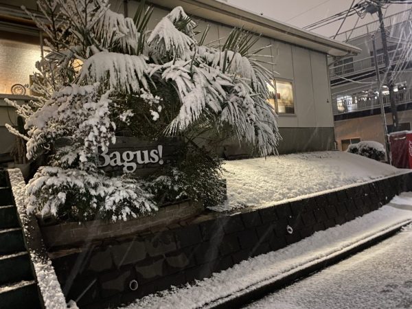 本年も、宜しくお願い致します。