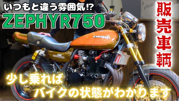 【動画】何やらいつもと違う気が？