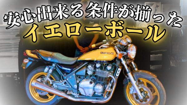 【動画】前回即売れのこいつ！