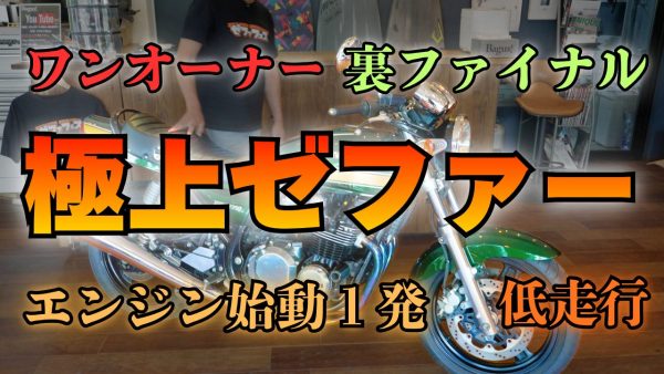 【動画】４拍子揃った裏物入荷